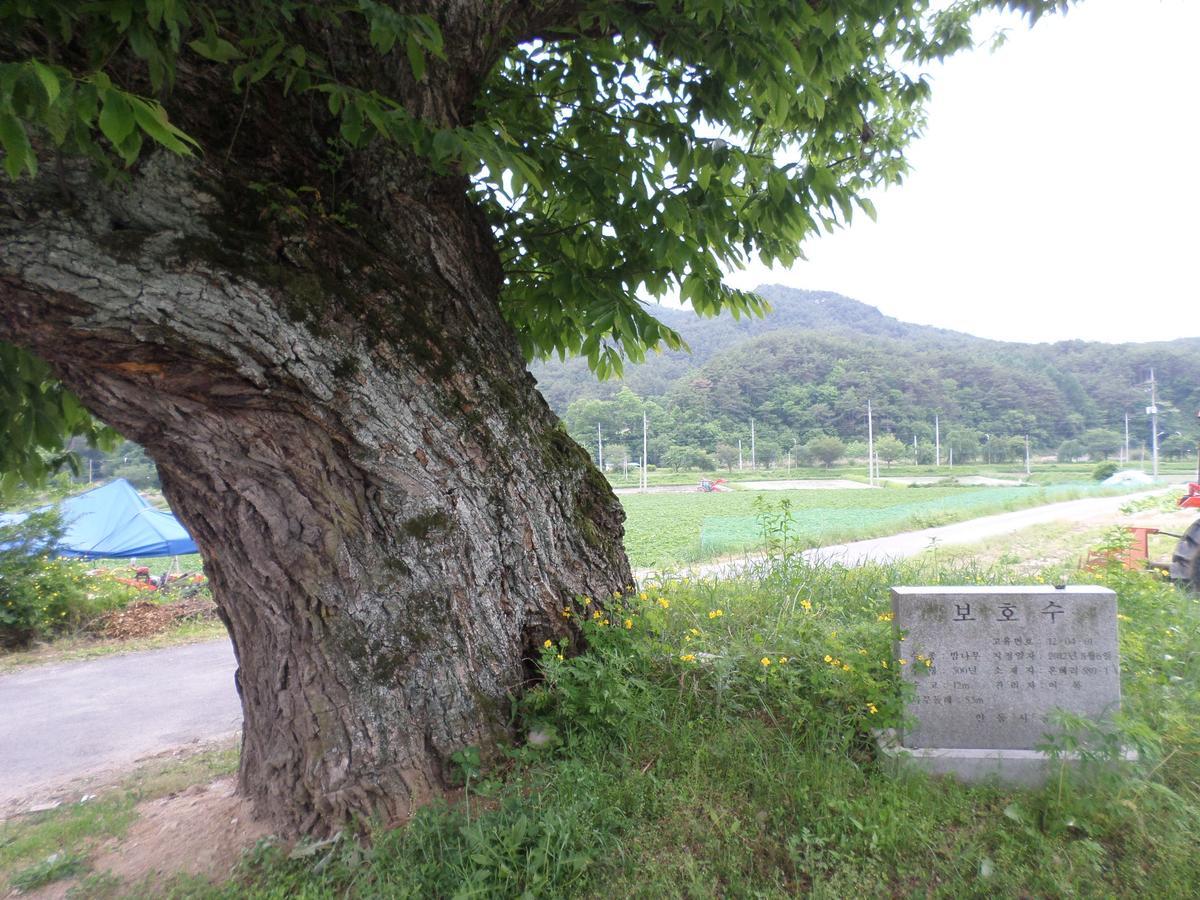 Ongye Jongtaek Andong Exterior foto